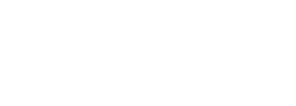 News Portal Logo