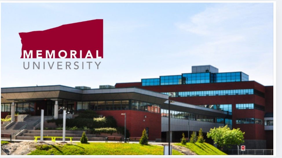 Stanford University Knight-Hennessy Scholarship 2026: A Complete Guide for African Professionals