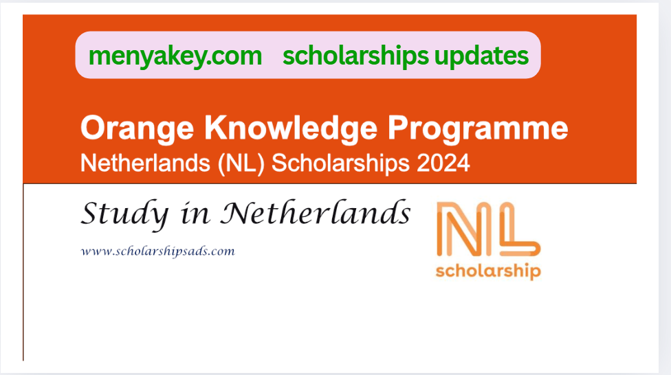 Netherlands Orange Knowledge Programme (OKP) &ndash; A Life-Changing Opportunity for African Students